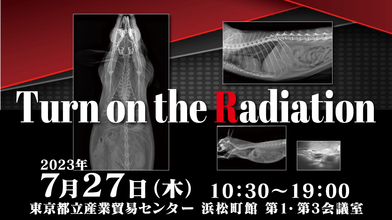 画像が表示できません