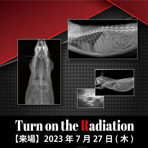【来場】Turn on The　Radiation