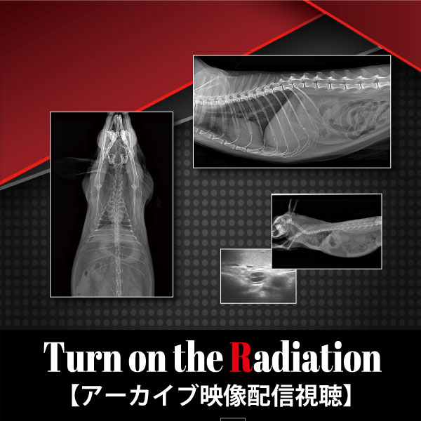 【アーカイブ】Turn on The　Radiation