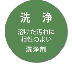 スキンシャンプー(洗浄剤)
