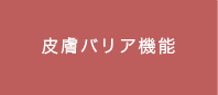 皮膚バリア機能とは